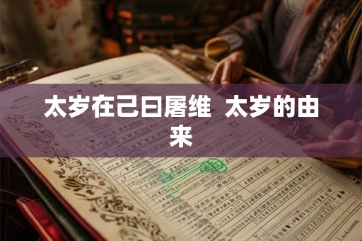 太岁在己曰屠维  太岁的由来