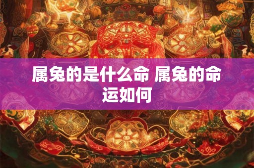 属兔的是什么命 属兔的命运如何 属兔的是什么命 属兔的命运如何