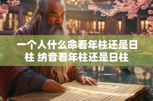 一个人什么命看年柱还是日柱 纳音看年柱还是日柱