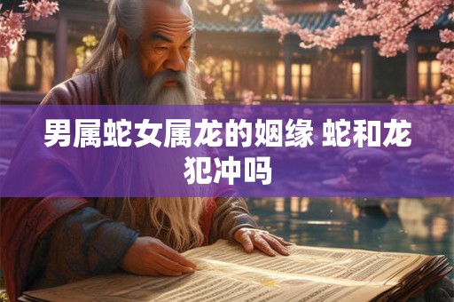 男属蛇女属龙的姻缘 蛇和龙犯冲吗 男属蛇女属龙的姻缘 蛇和龙犯冲吗