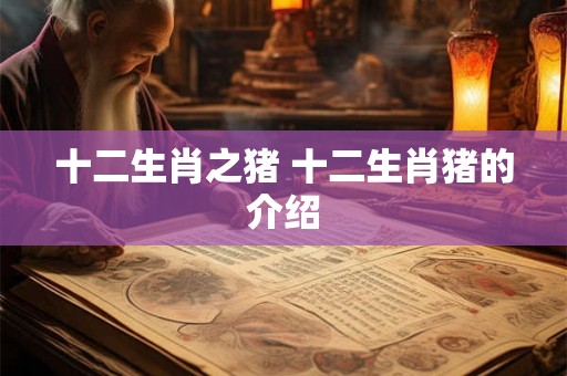 十二生肖之猪 十二生肖猪的介绍 十二生肖之猪 十二生肖猪的介绍