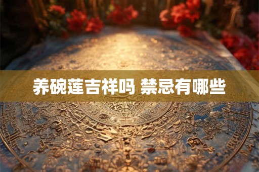 养碗莲吉祥吗 禁忌有哪些