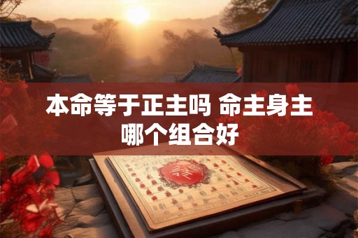 本命等于正主吗 命主身主哪个组合好 本命等于正主吗 命主身主哪个组合好