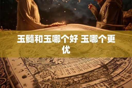 玉髓和玉哪个好 玉哪个更优