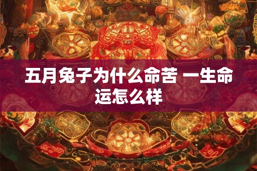 五月兔子为什么命苦 一生命运怎么样 五月兔子为什么命苦 一生命运怎么样