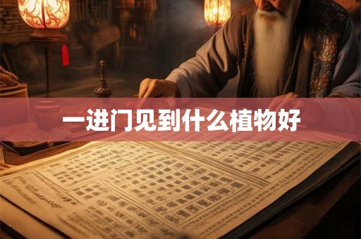 一进门见到什么植物好