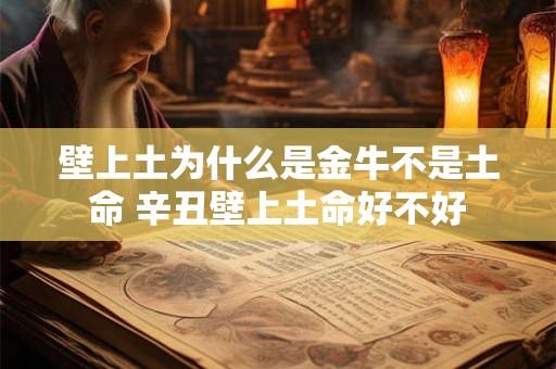 壁上土为什么是金牛不是土命 辛丑壁上土命好不好 壁上土为什么是金牛不是土命 辛丑壁上土命好不好