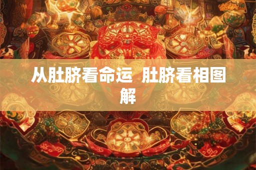 从肚脐看命运 肚脐看相图解 从肚脐看命运 肚脐看相图解