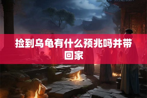 捡到乌龟有什么预兆吗并带回家 捡到乌龟有什么预兆吗并带回家