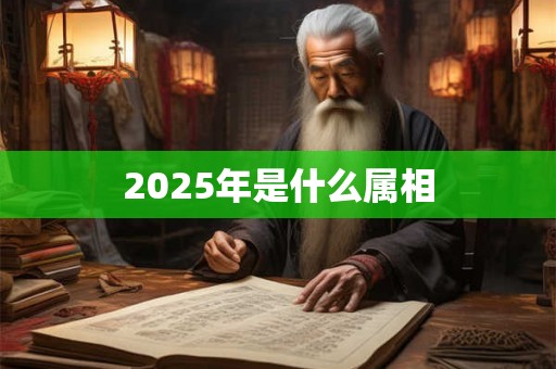2025年是什么属相