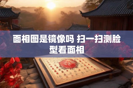 面相图是镜像吗 扫一扫测脸型看面相 面相图是镜像吗 扫一扫测脸型看面相