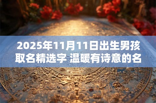 2025年11月11日出生男孩取名精选字 温暖有诗意的名字
