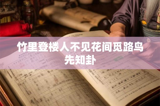 竹里登楼人不见花间觅路鸟先知卦 竹里登楼人不见花间觅路鸟先知卦