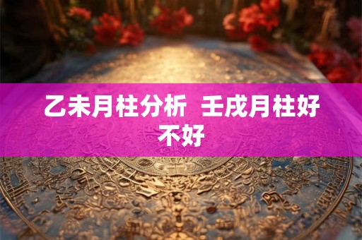 乙未月柱分析 壬戌月柱好不好 乙未月柱分析 壬戌月柱好不好