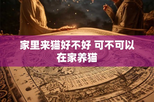 家里来猫好不好 可不可以在家养猫 家里来猫好不好 可不可以在家养猫