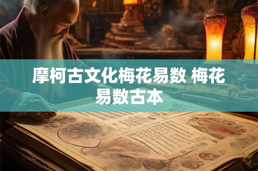 摩柯古文化梅花易数 梅花易数古本 摩柯古文化梅花易数 梅花易数古本