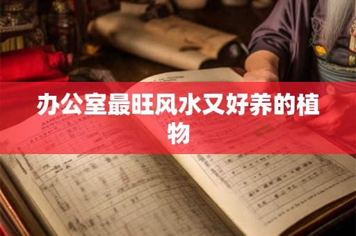 办公室最旺风水又好养的植物