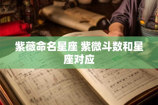 紫薇命名星座 紫微斗数和星座对应 紫薇命名星座 紫微斗数和星座对应
