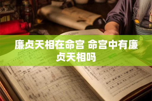 廉贞天相在命宫 命宫中有廉贞天相吗