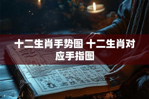十二生肖手势图 十二生肖对应手指图 十二生肖手势图 十二生肖对应手指图