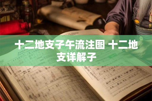 十二地支子午流注图 十二地支详解子 十二地支子午流注图 十二地支详解子