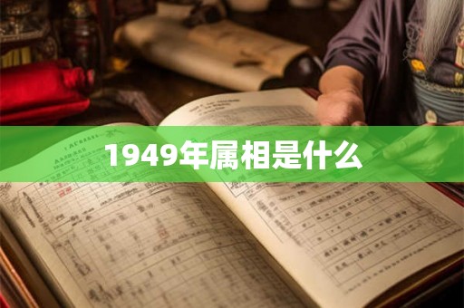 1949年属相是什么