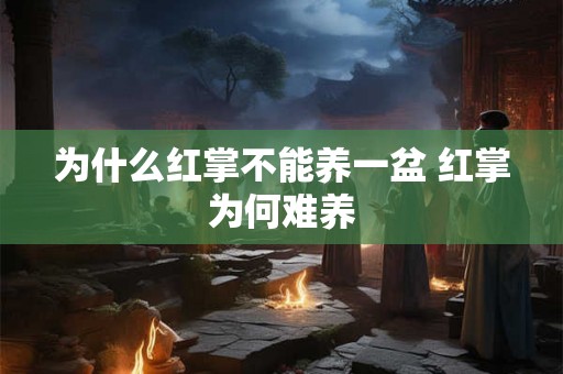 为什么红掌不能养一盆 红掌为何难养 为什么红掌不能养一盆 红掌为何难养