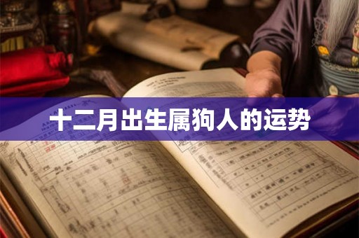 十二月出生属狗人的运势 十二月出生属狗人的运势
