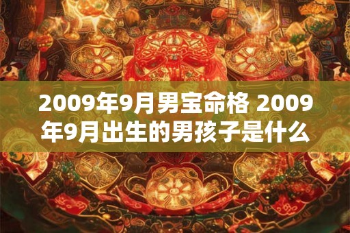 2009年9月男宝命格 2009年9月出生的男孩子是什么命 