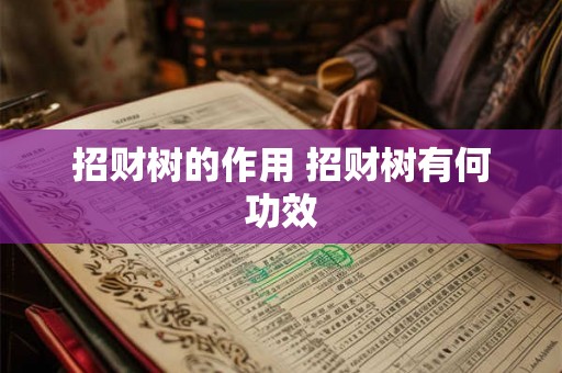 招财树的作用 招财树有何功效 招财树的作用 招财树有何功效