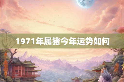 1971年属猪今年运势如何