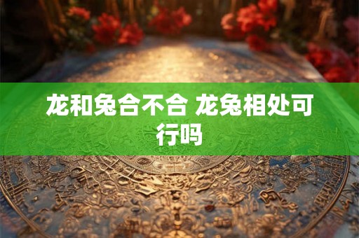龙和兔合不合 龙兔相处可行吗 龙和兔合不合 龙兔相处可行吗