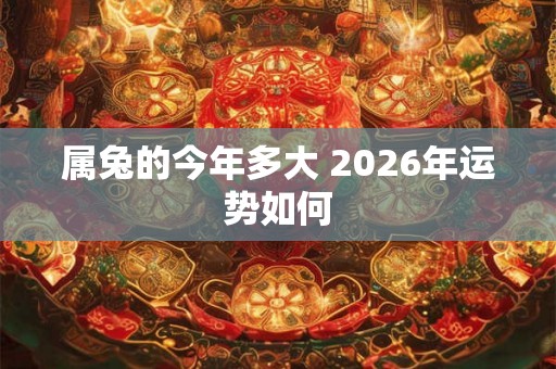 属兔的今年多大 2026年运势如何