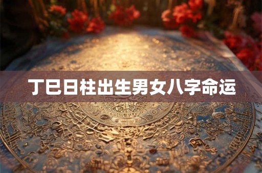 丁巳日柱出生男女八字命运 丁巳日柱出生男女八字命运