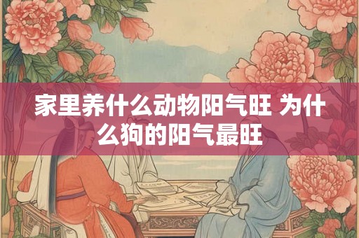 家里养什么动物阳气旺 为什么狗的阳气最旺 家里养什么动物阳气旺 为什么狗的阳气最旺