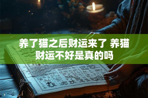 养了猫之后财运来了 养猫财运不好是真的吗