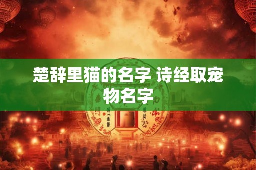 楚辞里猫的名字 诗经取宠物名字 楚辞里猫的名字 诗经取宠物名字
