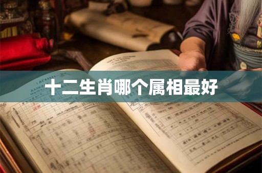 十二生肖哪个属相最好 十二生肖哪个属相最好