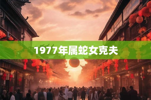 1977年属蛇女克夫 1977年属蛇女克夫