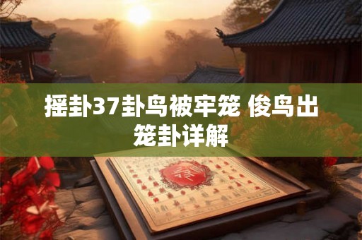 摇卦37卦鸟被牢笼 俊鸟出笼卦详解