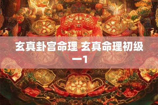 玄真卦宫命理 玄真命理初级一1 玄真卦宫命理 玄真命理初级一1