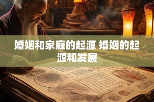 婚姻和家庭的起源 婚姻的起源和发展 婚姻和家庭的起源 婚姻的起源和发展