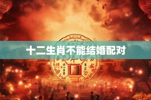 十二生肖不能结婚配对