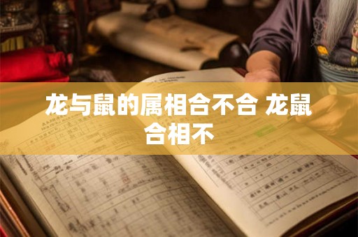 龙与鼠的属相合不合 龙鼠合相不