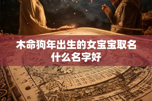 木命狗年出生的女宝宝取名什么名字好 木命狗年出生的女宝宝取名什么名字好