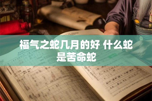 福气之蛇几月的好 什么蛇是苦命蛇 福气之蛇几月的好 什么蛇是苦命蛇