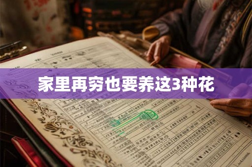 家里再穷也要养这3种花 家里再穷也要养这3种花