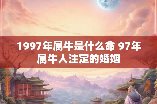1997年属牛是什么命 97年属牛人注定的婚姻 1997年属牛是什么命 97年属牛人注定的婚姻