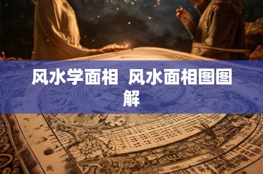 风水学面相  风水面相图图解