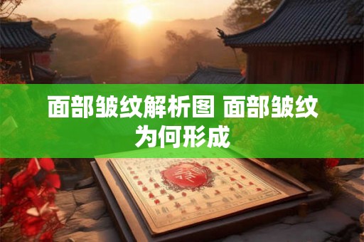 面部皱纹解析图 面部皱纹为何形成